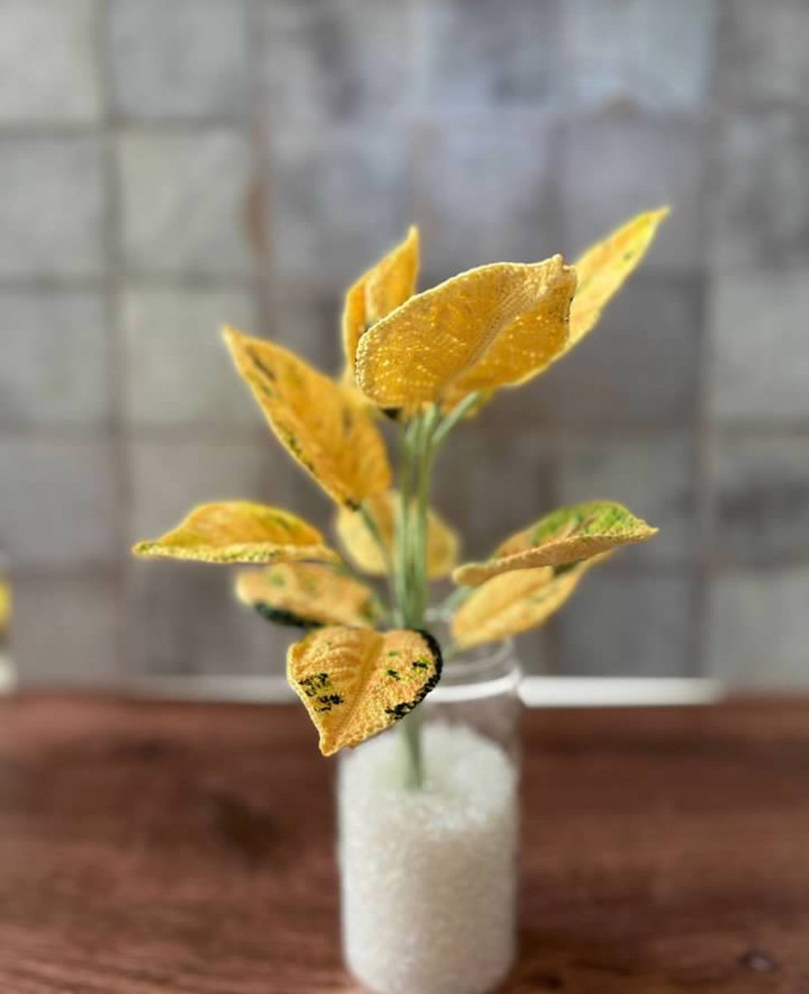Crochet Moonshine Aglaonema