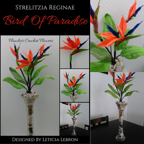 Crochet Bird Of Paradise