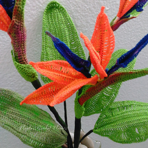Crochet Bird Of Paradise