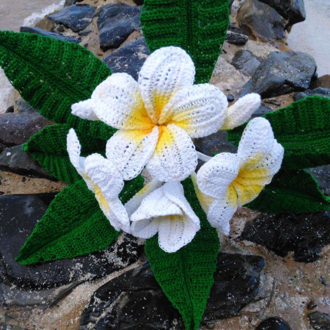Frangipani Plumeria