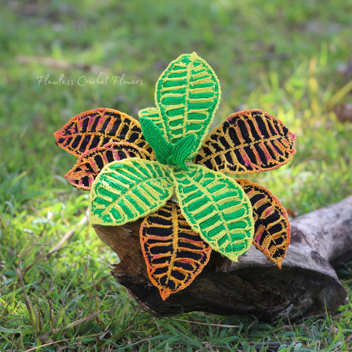 Crochet Croton Petra