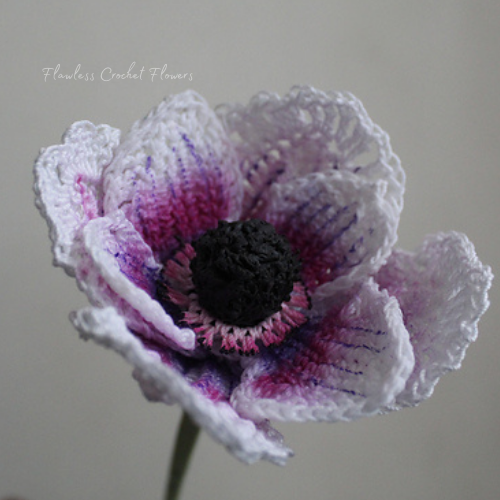Japanese Anemone