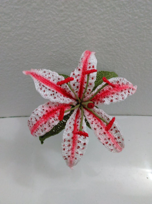 Stargazer Lily