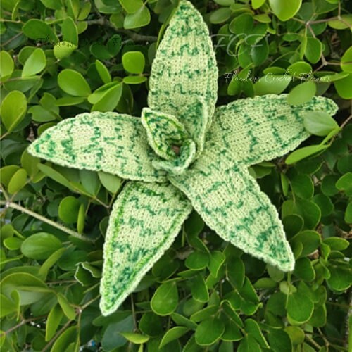 Crochet Aloe Demi
