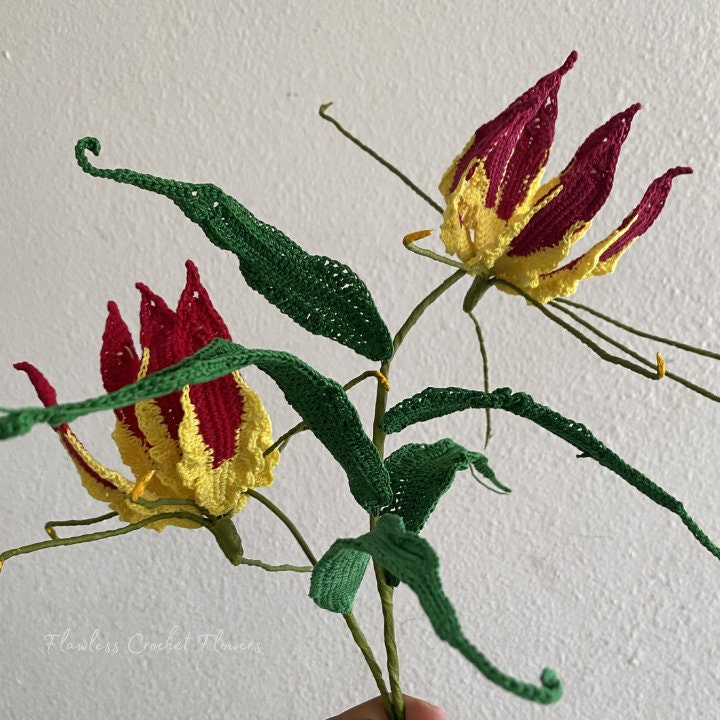 Gloriosa Flame Lily