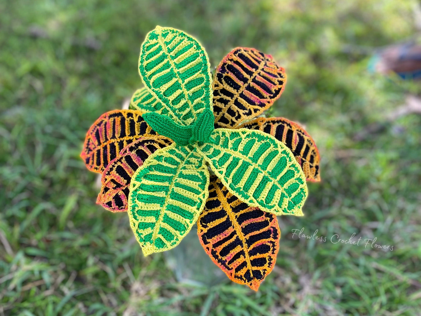 Crochet Croton Petra