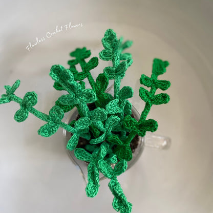 Crochet Pilea Baby Tears