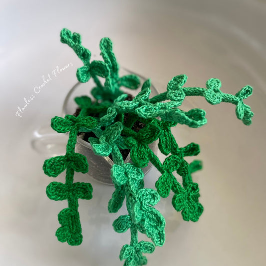 Crochet Pilea Baby Tears