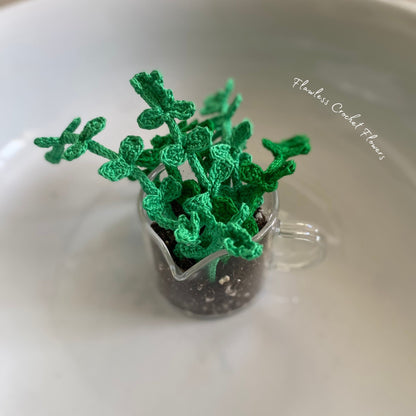 Crochet Pilea Baby Tears