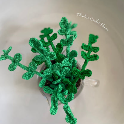 Crochet Pilea Baby Tears