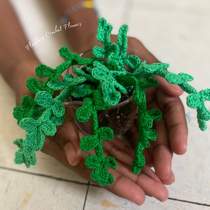 Crochet Pilea Baby Tears