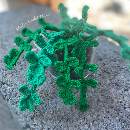 Crochet Pilea Baby Tears