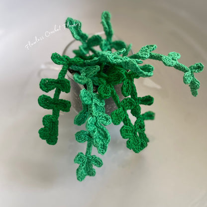 Crochet Pilea Baby Tears