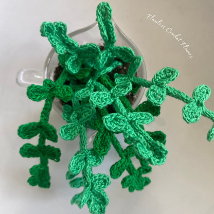 Crochet Pilea Baby Tears