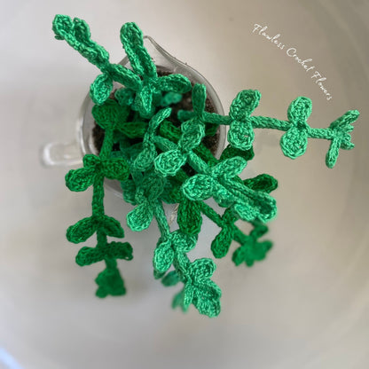 Crochet Pilea Baby Tears