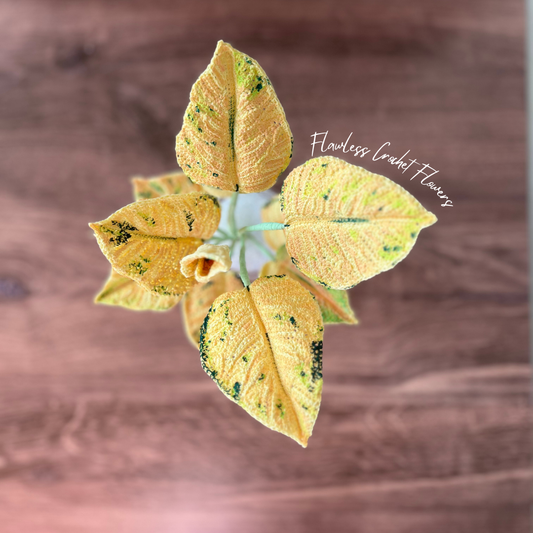 Crochet Moonshine Aglaonema