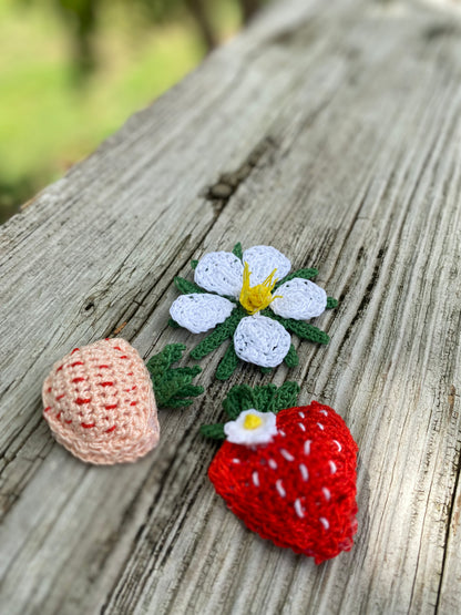Strawberry Crochet Magnet Kit