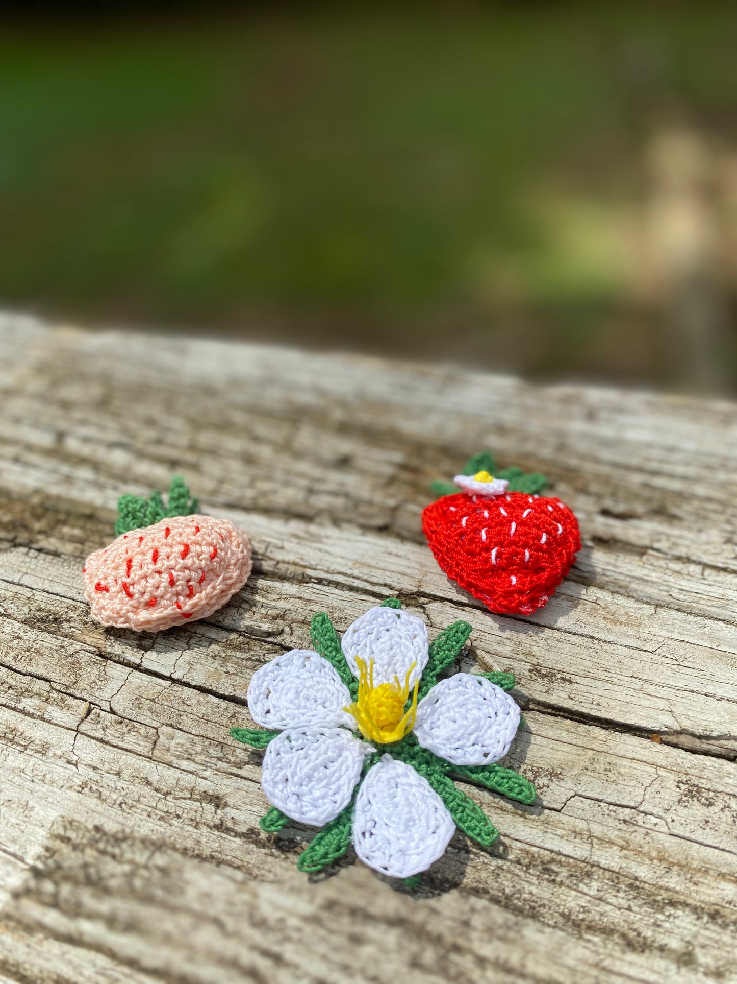 Pineberry & Strawberry Crochet Magnet Kit