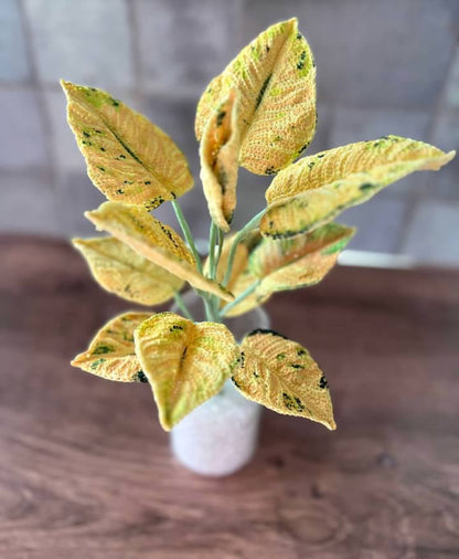 Crochet Moonshine Aglaonema