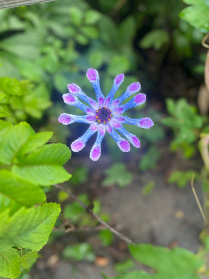 Crochet Spoon Flower Daisy