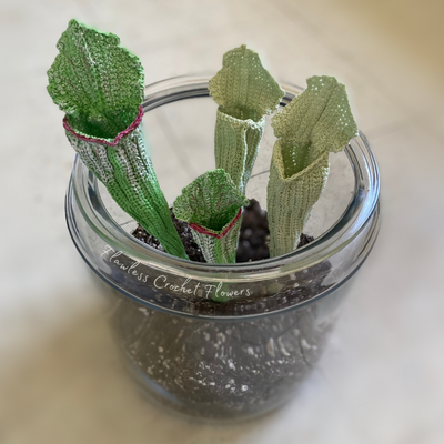 Crochet Pitcher Plant