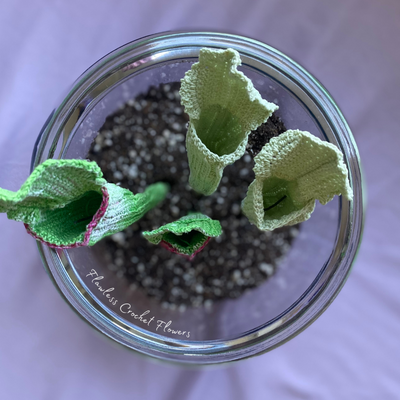 Crochet Pitcher Plant