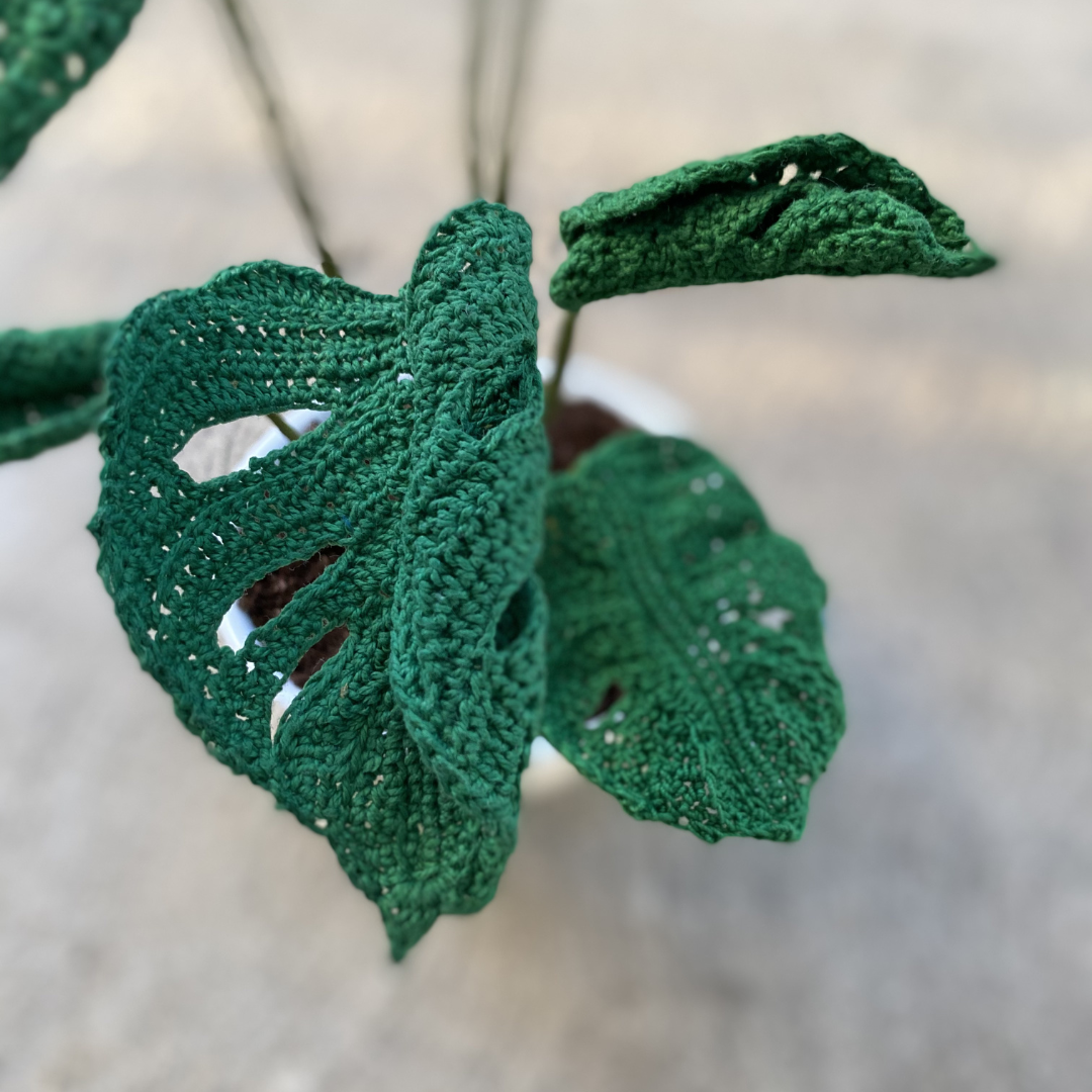 Crochet Swiss Cheese Monstera