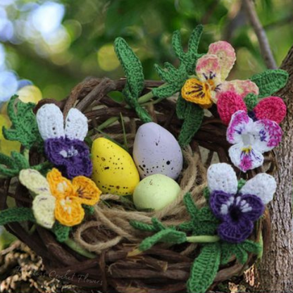 Bunny Ears Pansy