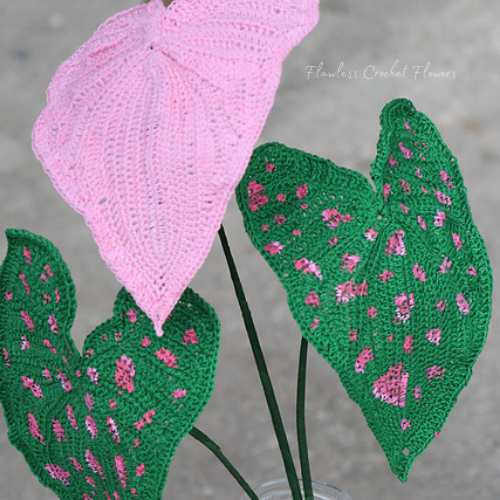 Freckles Crochet Caladium