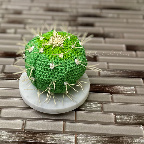 Snowflake Cactus