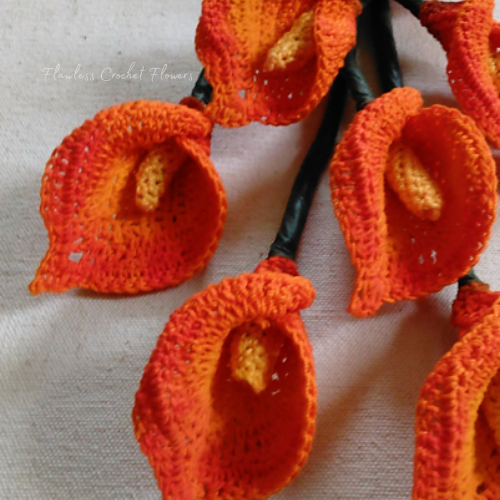 Mini Flame Calla Lily