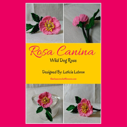 Rosa Canina Wild Rose