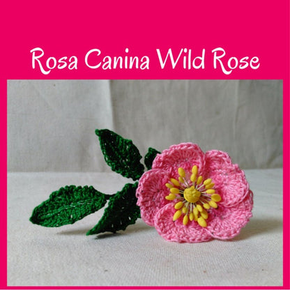 Rosa Canina Wild Rose