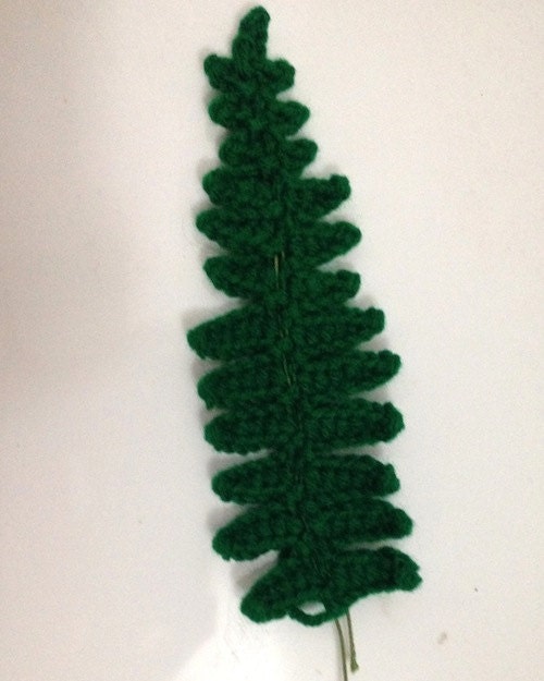 Crochet Fern