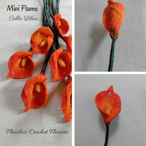 Mini Flame Calla Lily