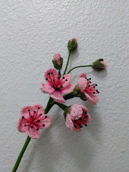 Cherry Blossoms