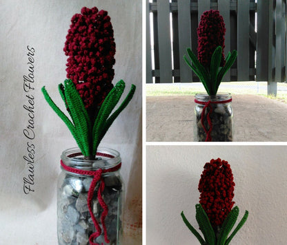 Crochet Hyacinth