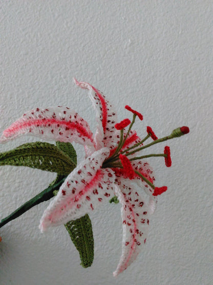 Stargazer Lily