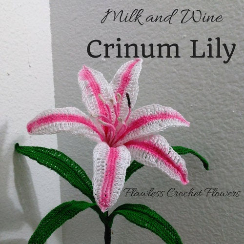 Crochet Crinum Lily