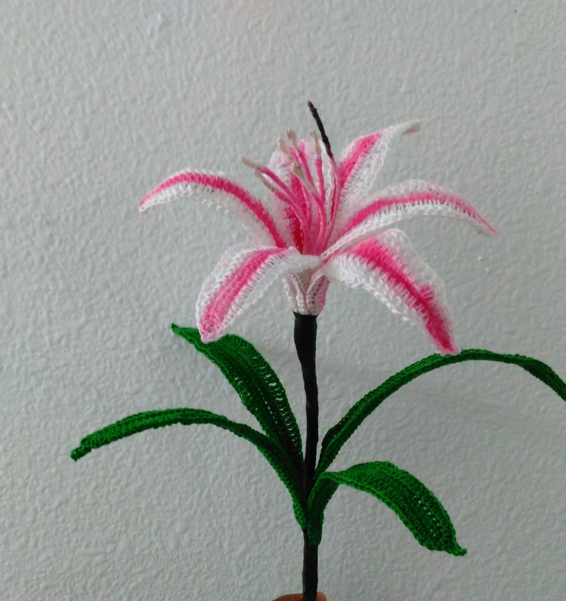 Crochet Crinum Lily