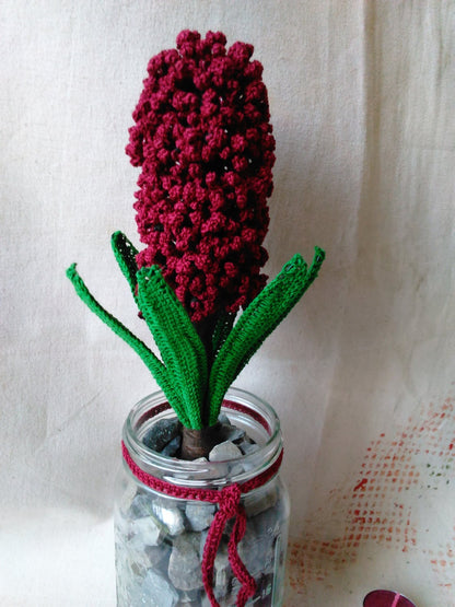 Crochet Hyacinth