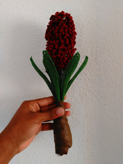 Crochet Hyacinth