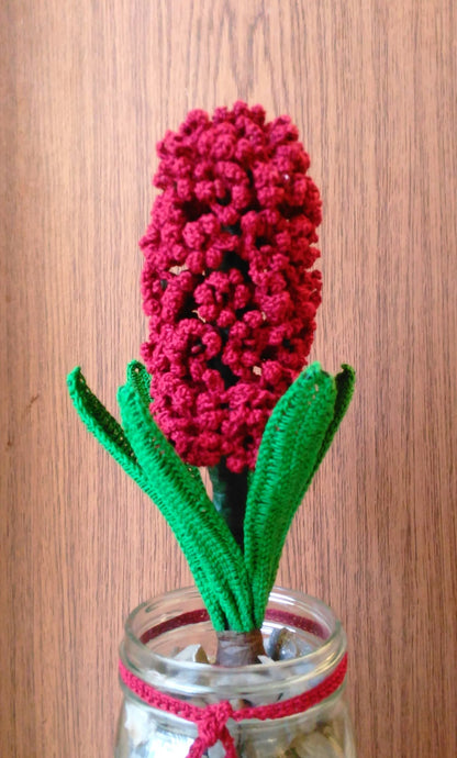 Crochet Hyacinth