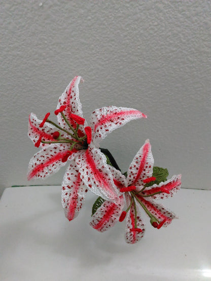 Stargazer Lily