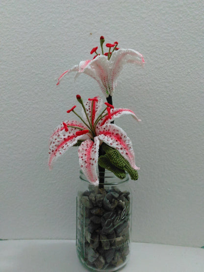 Stargazer Lily