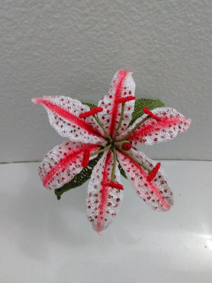 Stargazer Lily