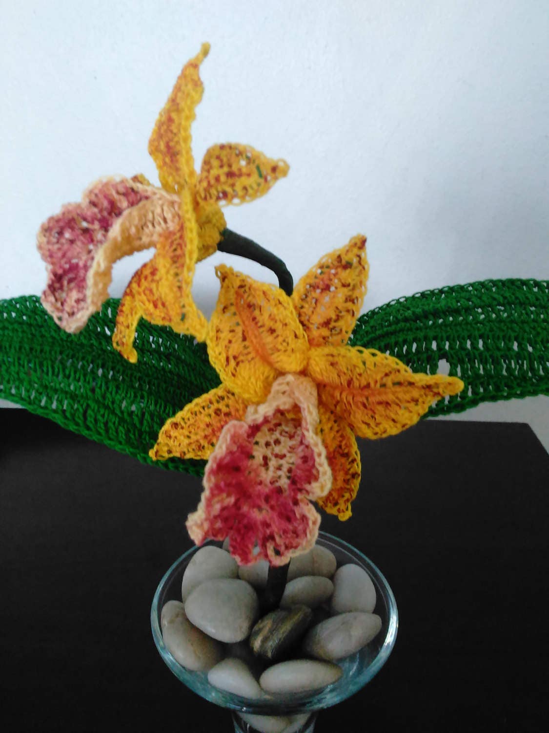 Hawaiian Leopard Orchid