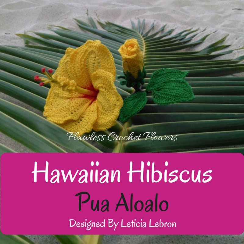 Hawaiian Hibiscus