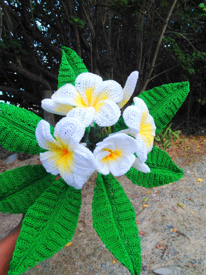 Frangipani Plumeria