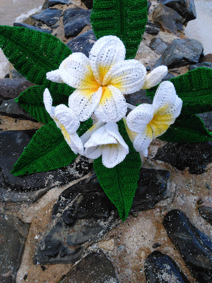 Frangipani Plumeria